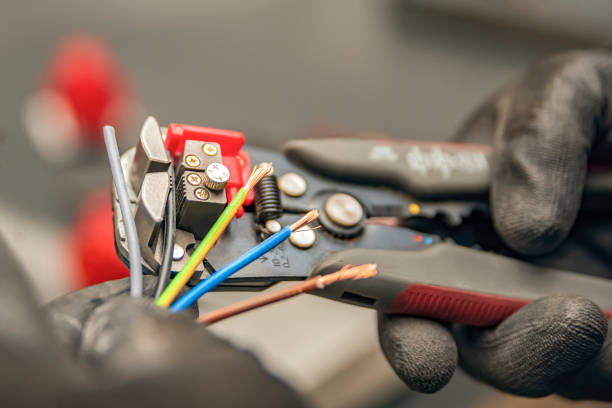 Best Electric Panel Repair  in Plattsburg, MO